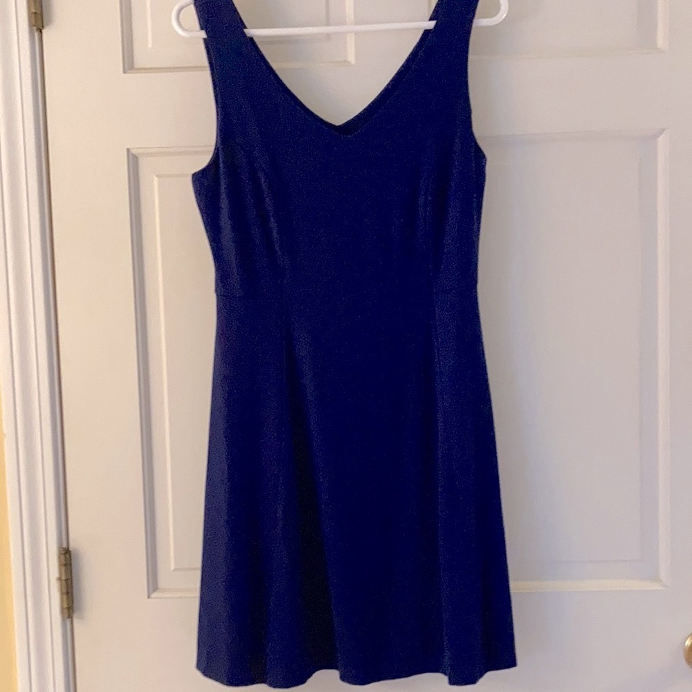 Donna Ricco woman’s sleeveless blue dress. NWT size Medium